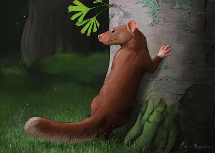 Репеномама: Всё-таки было млекопитающее, которое кошмарило динозавров во время их самого расцвета! Настоящий партизан древних лесов