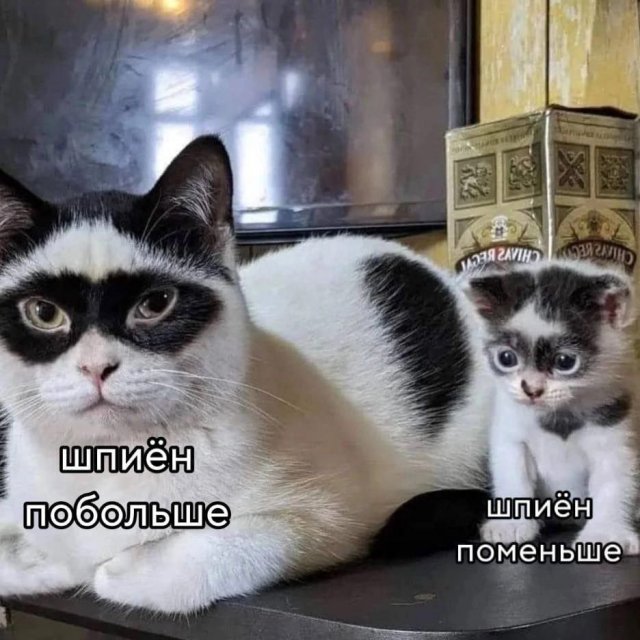 Лучшие шутки и мемы из Сети - 20.04.2023