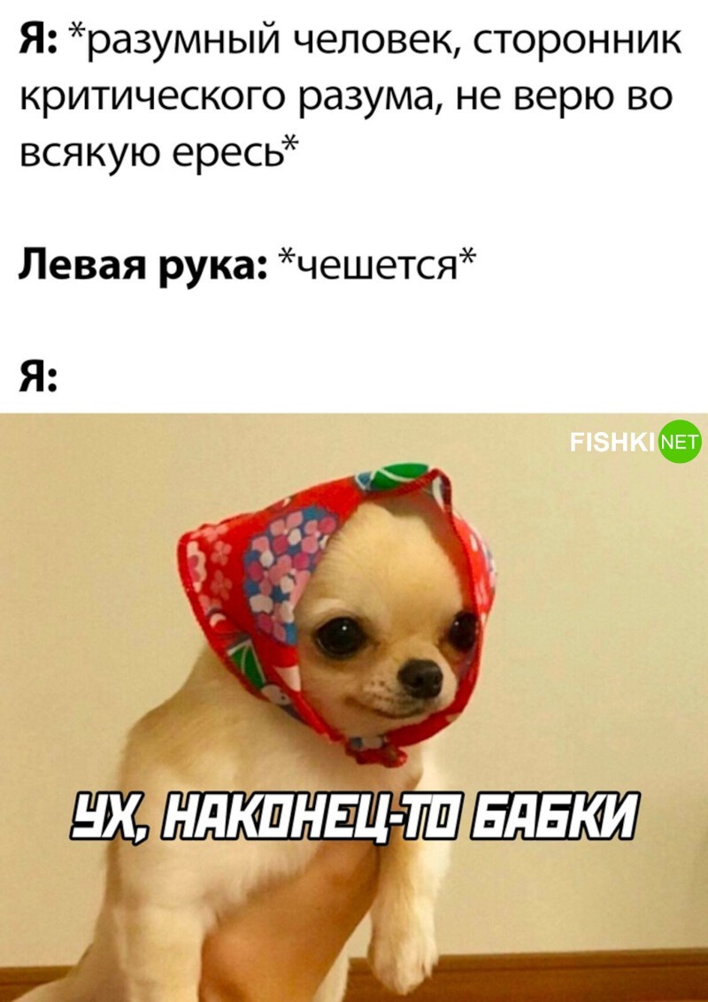 Комментарии и картинки из соцсетей. Свежак за 11 мая