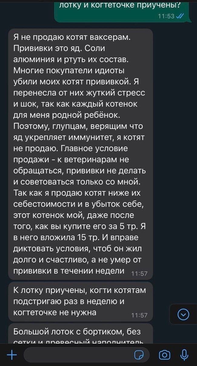 "Так и умрёте от вакцинации тупыми": мужчина хотел купить ребёнку котёнка - и наткнулся на противницу прививок