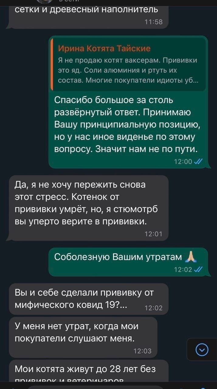"Так и умрёте от вакцинации тупыми": мужчина хотел купить ребёнку котёнка - и наткнулся на противницу прививок