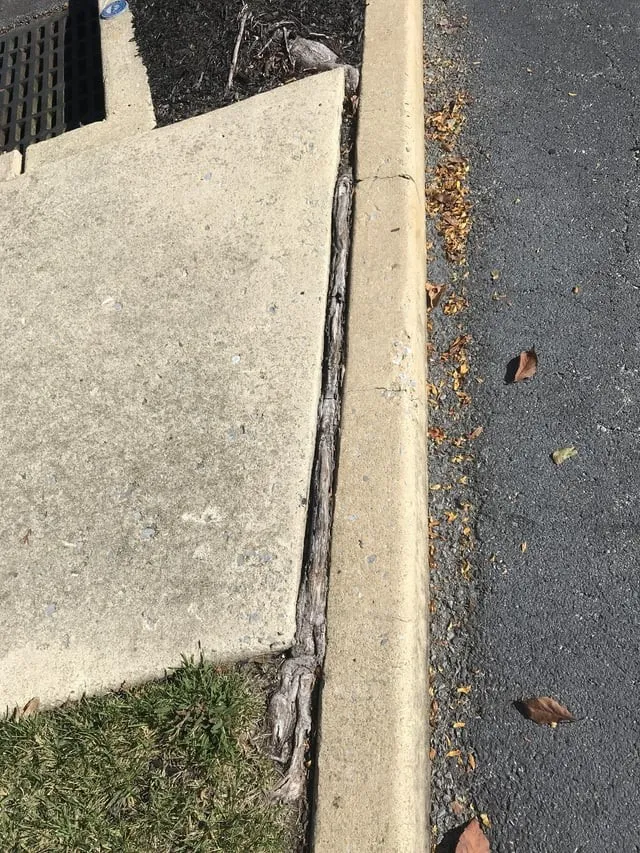 14 доказательств того, что природа умеет удивлять 14 доказательств того, что природа умеет удивлять