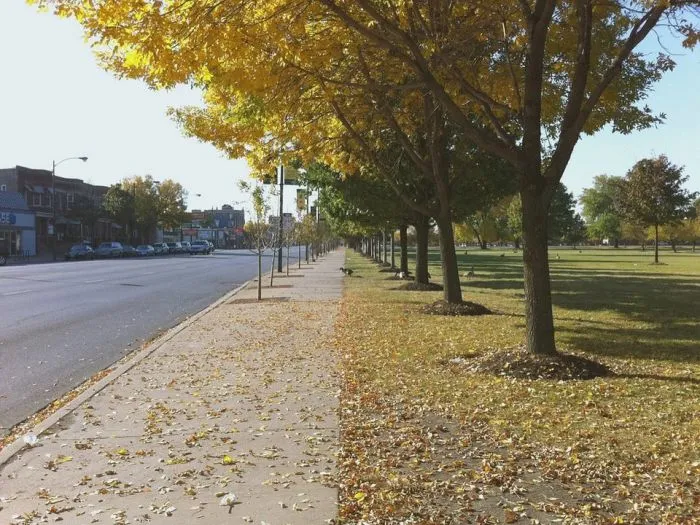 14 доказательств того, что природа умеет удивлять 14 доказательств того, что природа умеет удивлять