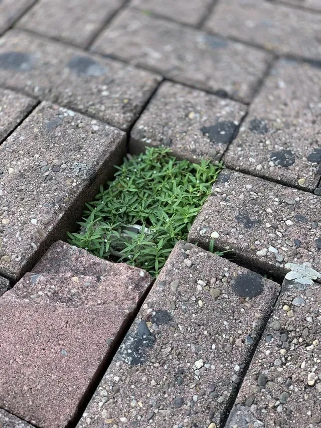 14 доказательств того, что природа умеет удивлять 14 доказательств того, что природа умеет удивлять