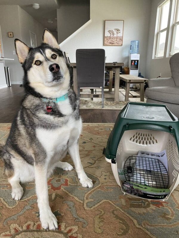 Фотография: Бывают в жизни огорчения: 22 человека, которых постигло фатальное невезение №22 - BigPicture.ru