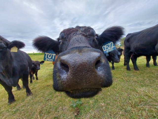 Подборка картинок. Вечерний выпуск - 07.09.2023