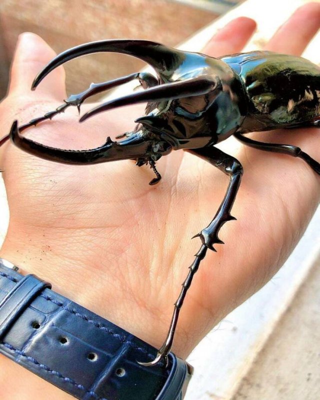 Подборка картинок. Вечерний выпуск - 07.09.2023