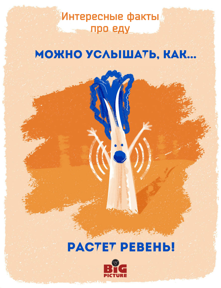 Фотография: Этикетки на фруктах можно есть! 20 необычных фактов про еду №4 - BigPicture.ru