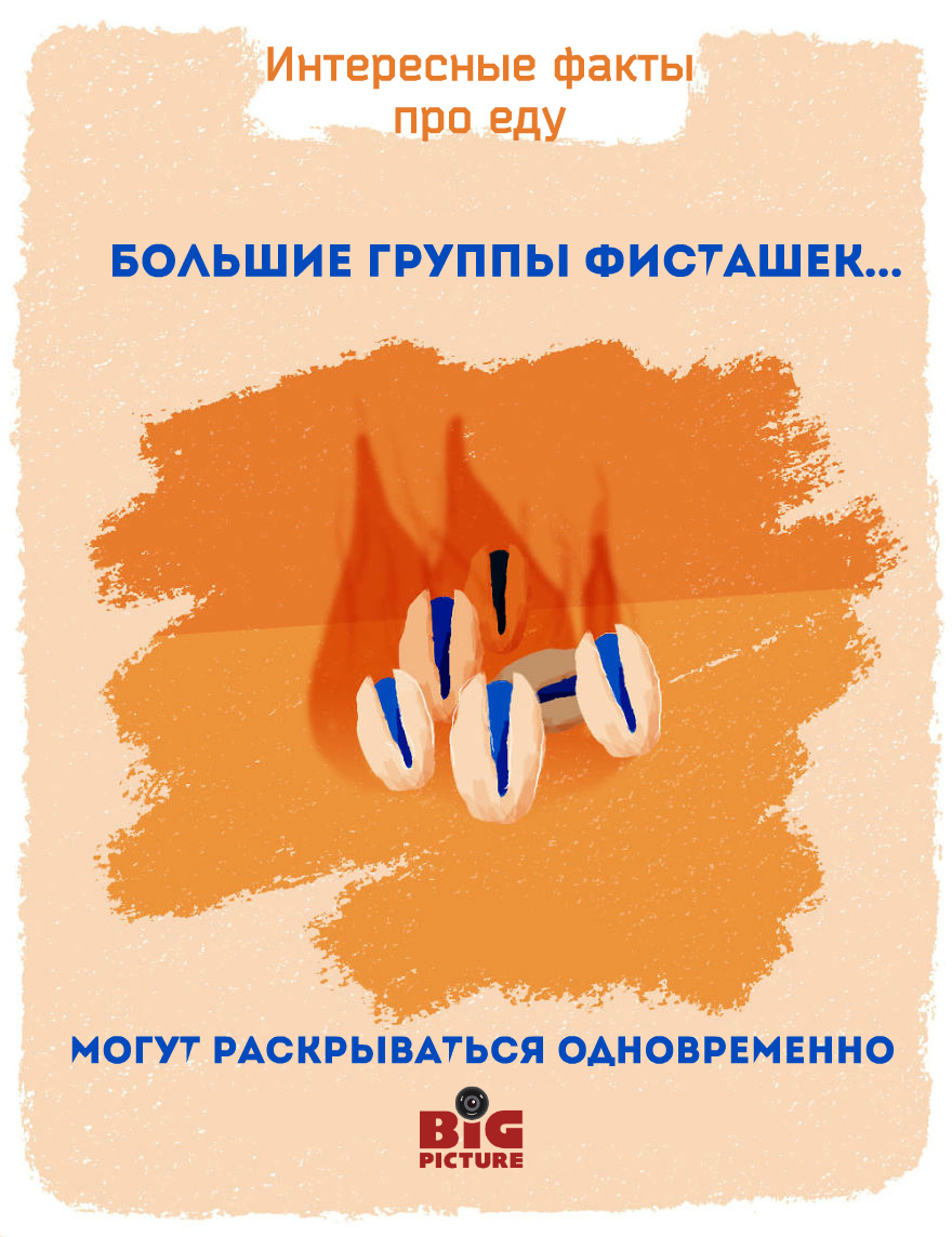 Фотография: Этикетки на фруктах можно есть! 20 необычных фактов про еду №6 - BigPicture.ru