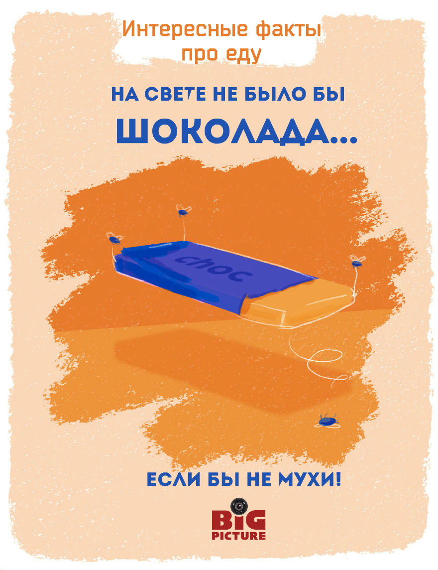 Фотография: Этикетки на фруктах можно есть! 20 необычных фактов про еду №18 - BigPicture.ru