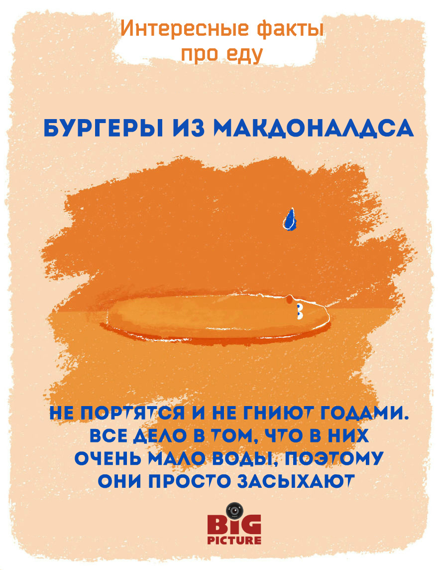 Фотография: Этикетки на фруктах можно есть! 20 необычных фактов про еду №19 - BigPicture.ru