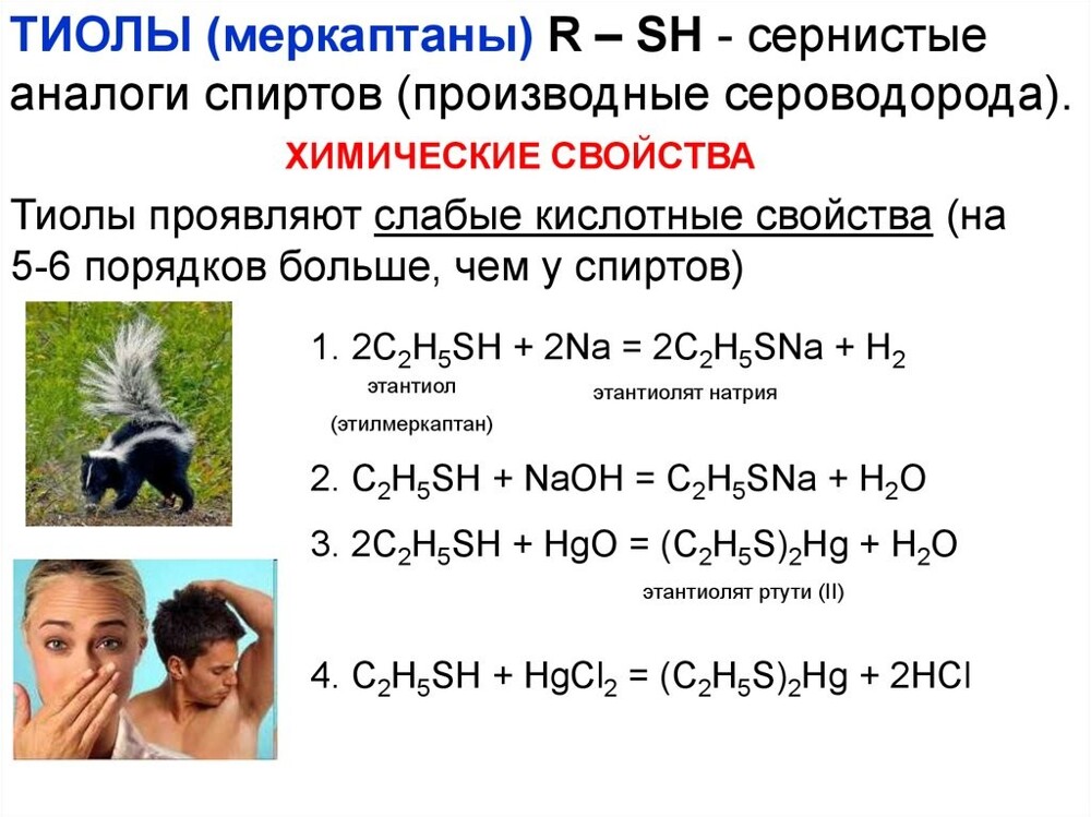 Умница Коби спас от взрыва целый район