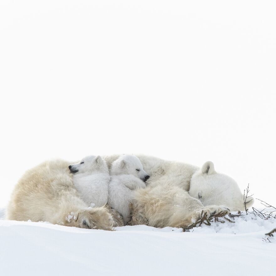 5. &quot;Тихий час&quot;, фотограф - Dorota Senechal, Франция