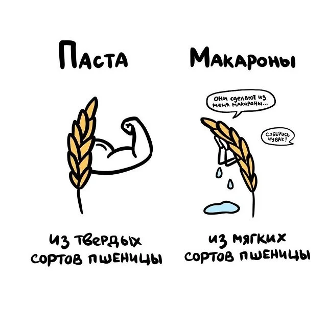 В замешательстве: Ошибки и путаницы в словах, которые стоит разгадать