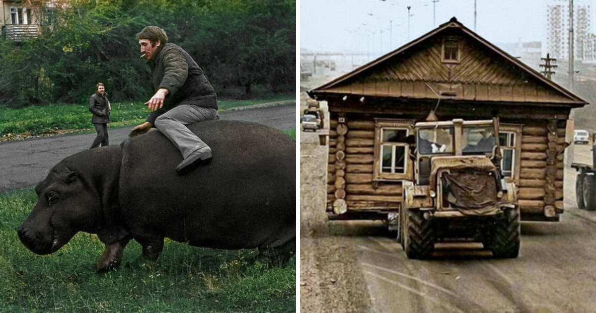18 цветных фото из СССР, которые уловили крайне любопытные моменты прошлого