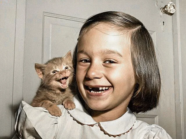 &quot;Веселые коты: подборка забавных фото для поднятия настроения. 20 раскрашенных снимков ХХ века