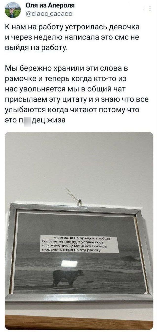 Подборка забавных твитов обо всем