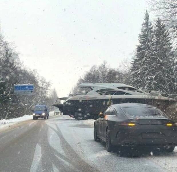 Подборка картинок. Вечерний выпуск - 16.12.2024