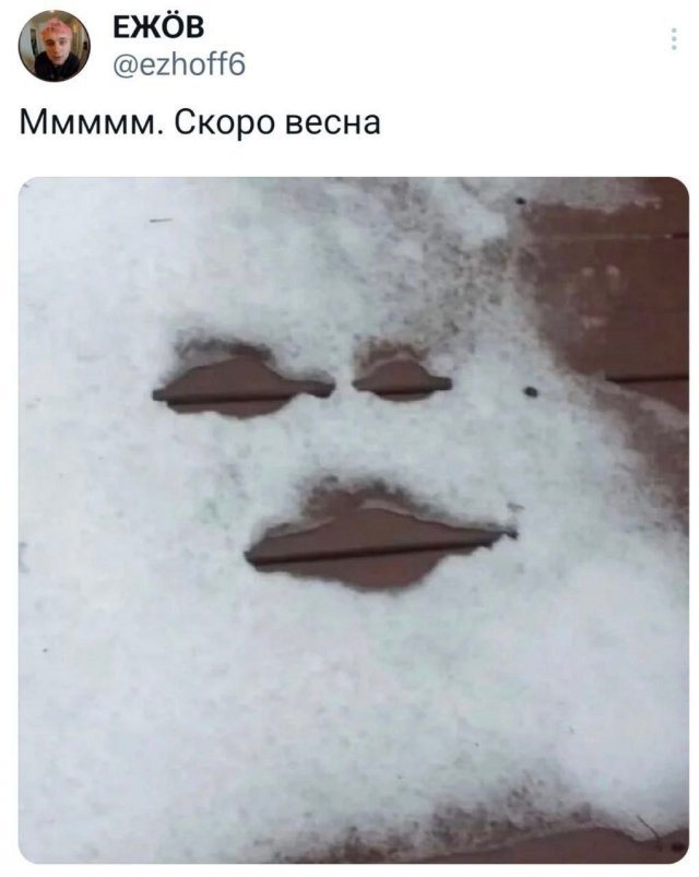 Подборка забавных твитов обо всем