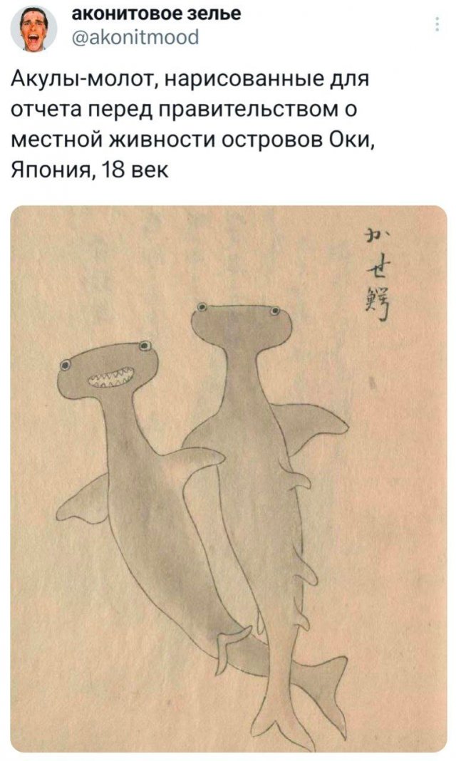 Подборка забавных твитов обо всем