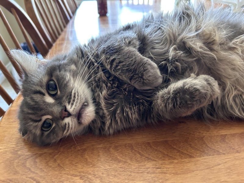 9. Готовятся к кусям