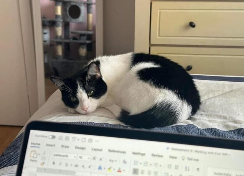 17. Настраивают на рабочий лад