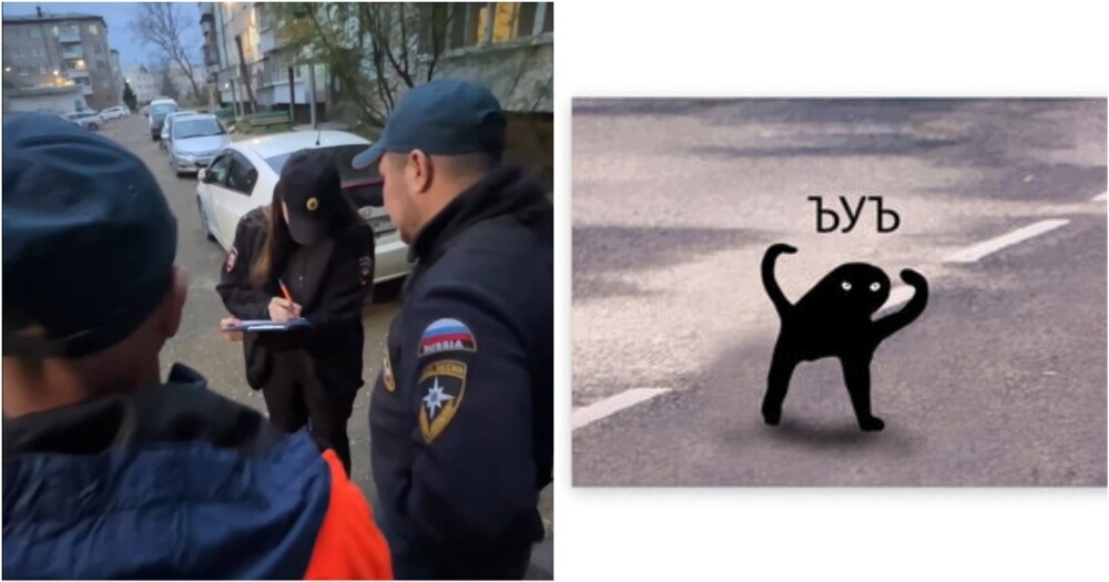 В Биробиджане кот попытался избавиться от хозяек, но помешало МЧС В Биробиджане кот попытался избавиться от хозяек, но помешало МЧС