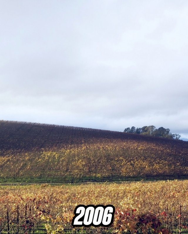 Как сегодня выглядит легендарный зеленый холм с обоев Windows XP