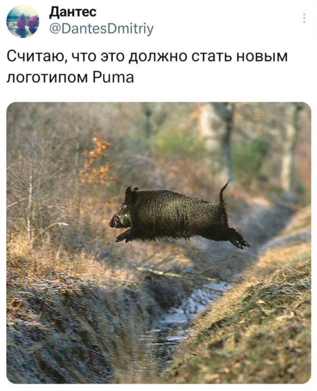 Подборка забавных твитов обо всем