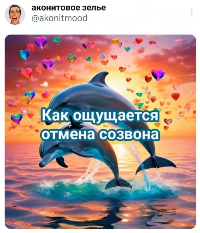 Подборка забавных твитов обо всем