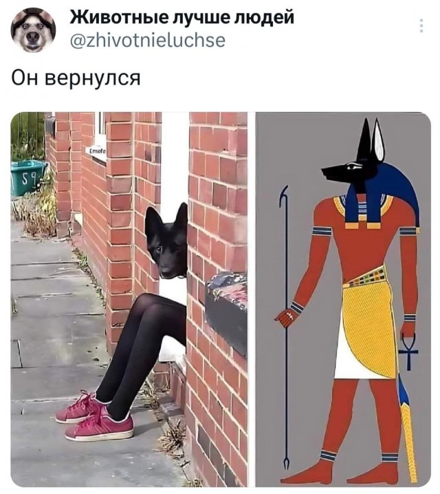 Подборка забавных твитов обо всем