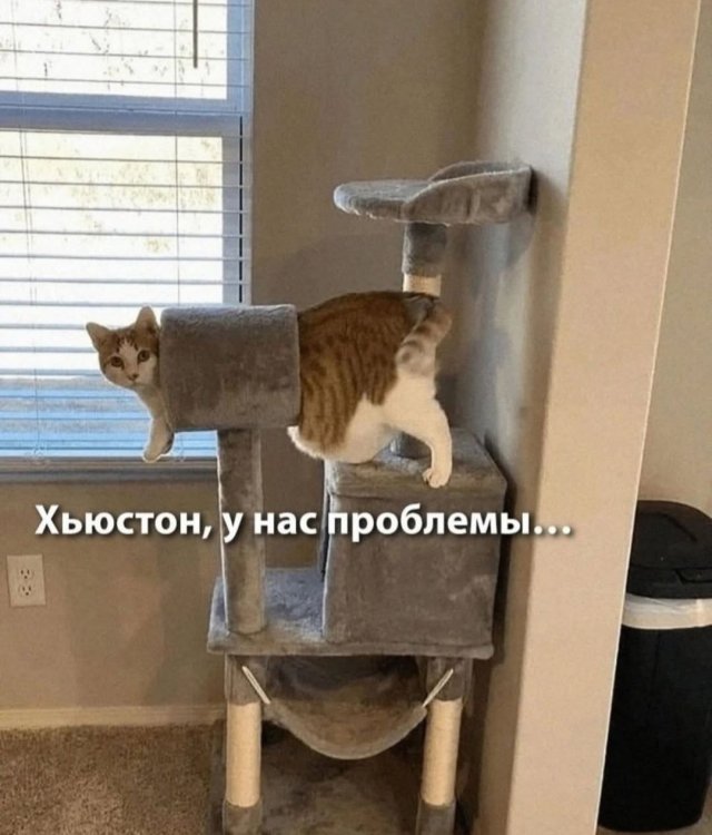 Лучшие шутки и мемы из Сети - 20.05.2025