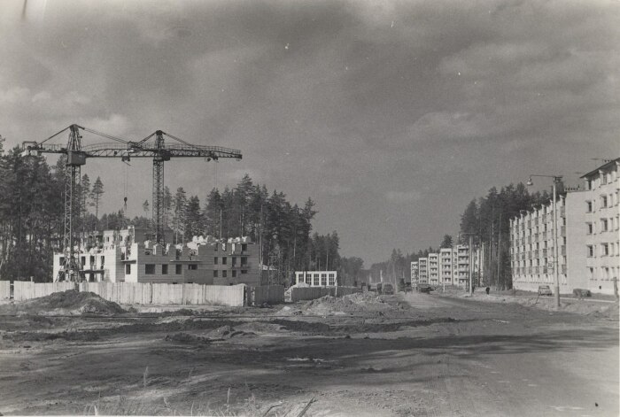 Строительство полным ходом. \ Фото: i09.fotocdn.net.