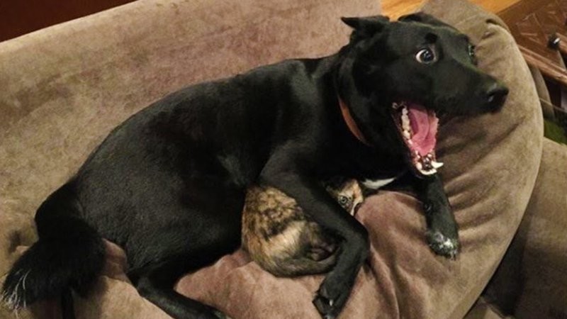 2. Вот это кино! 2. Вот это кино!