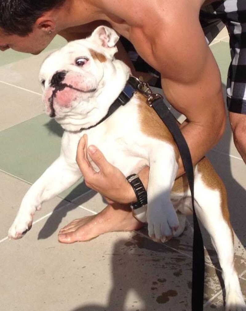 8. Когда мужество у тебя в крови и не только 8. Когда мужество у тебя в крови и не только