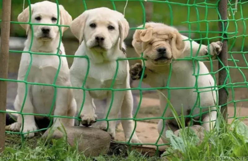 16. Не бойся запутаться, бойся быть скучным 16. Не бойся запутаться, бойся быть скучным