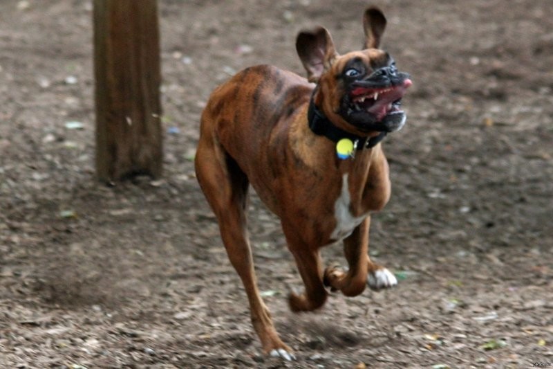 17. Радость бытия