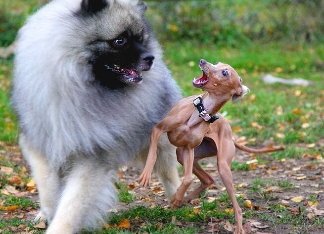 20. Мы разные, но всё-таки мы вместе 20. Мы разные, но всё-таки мы вместе