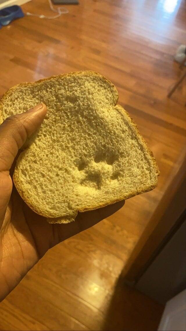 1. Когда в доме есть кошка — это вот так