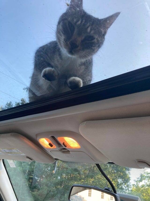 16. «И куда это мы поехали?»