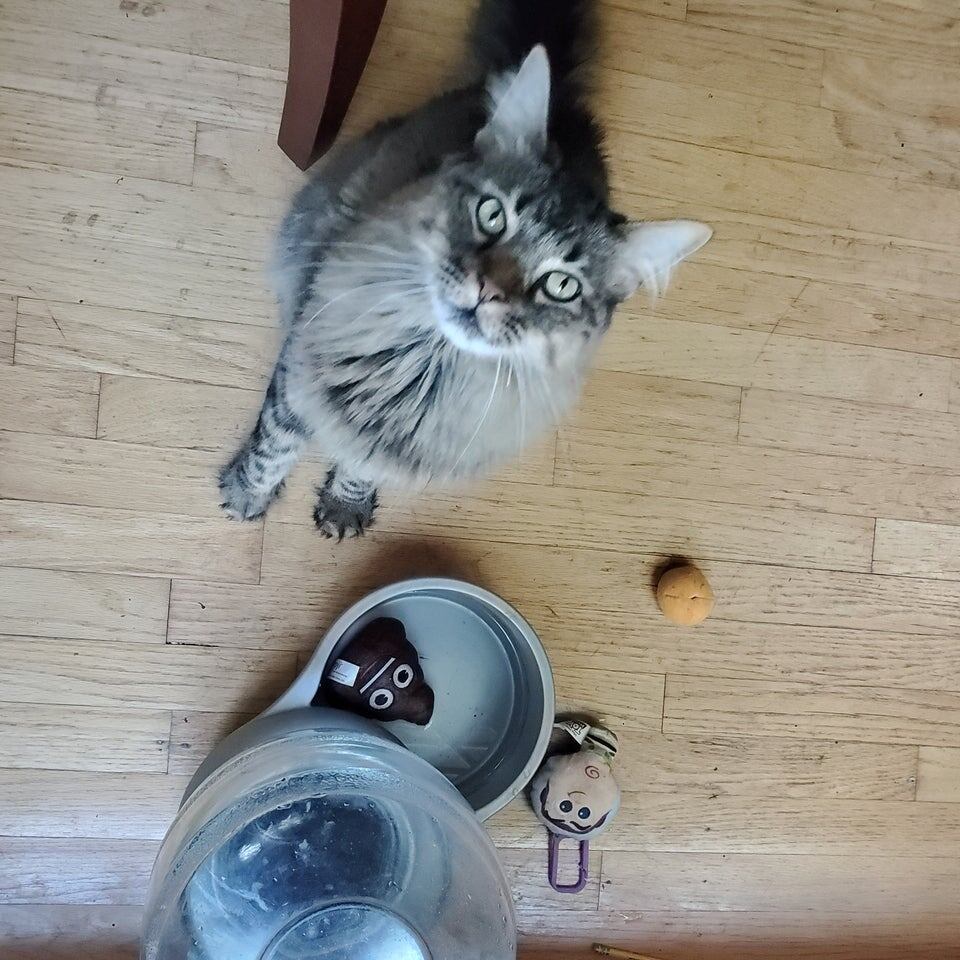 4. «Я буду собирать игрушки твоего сына и класть их в поилку, потому что так хочу»