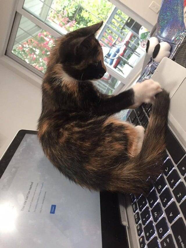 6. «Сейчас моя очередь пользоваться ноутбуком»