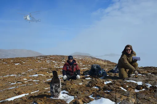 Авиадесантные работы геологов