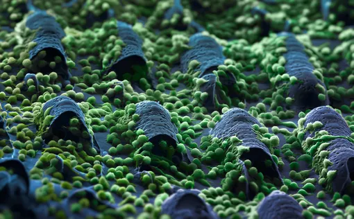 Микро-Кемпинг