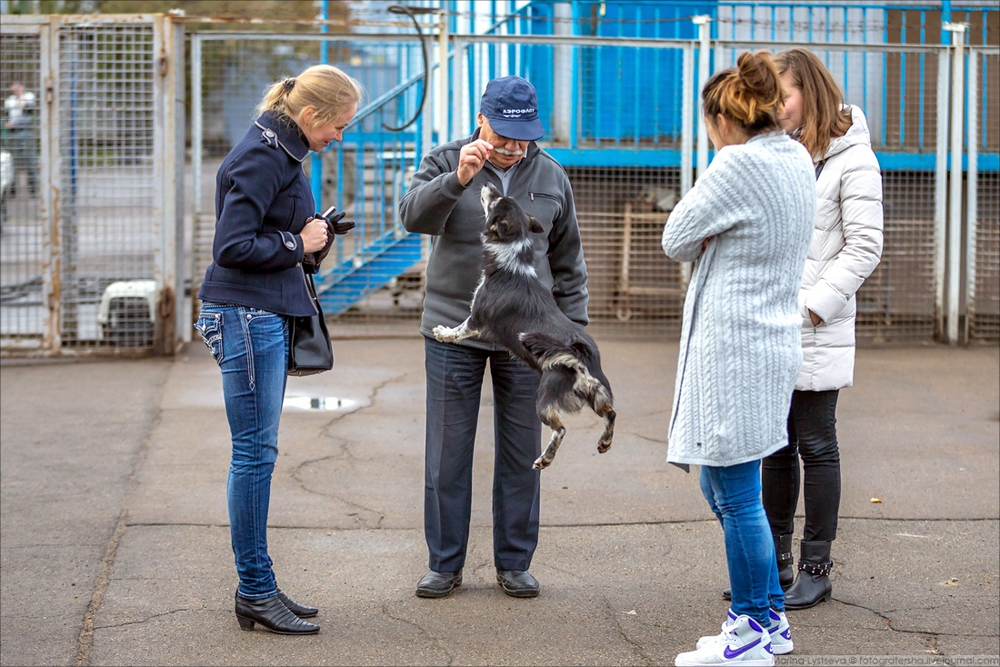 Шалайка: триумф советских учёных