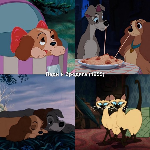 «Леди и Бродяга»