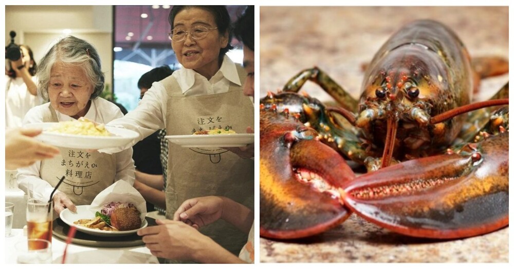 10 фактов, ломающих шаблонные представления об окружающем мире