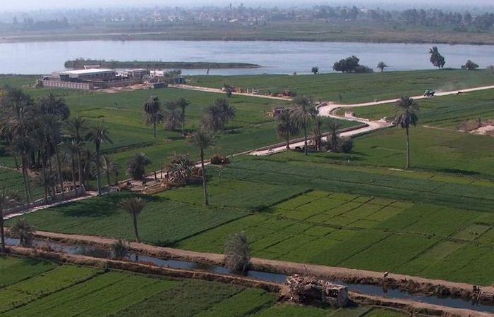 zernovrossii4_2506.jpg zernovrossii4_2506.jpg