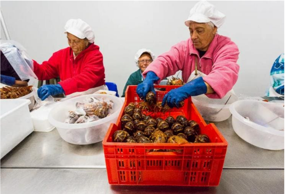 Остров-затворник: место, где люди живут вдали от всей цивилизации