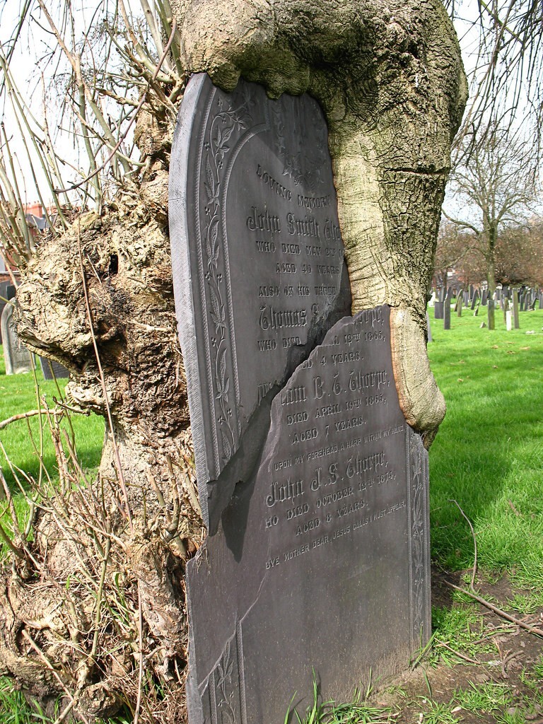 6. Сила природы мощнее человеческой памяти